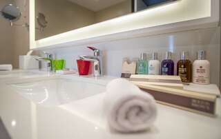 Отель CentreVille Hotel and Experiences Подгорица Полулюкс-4